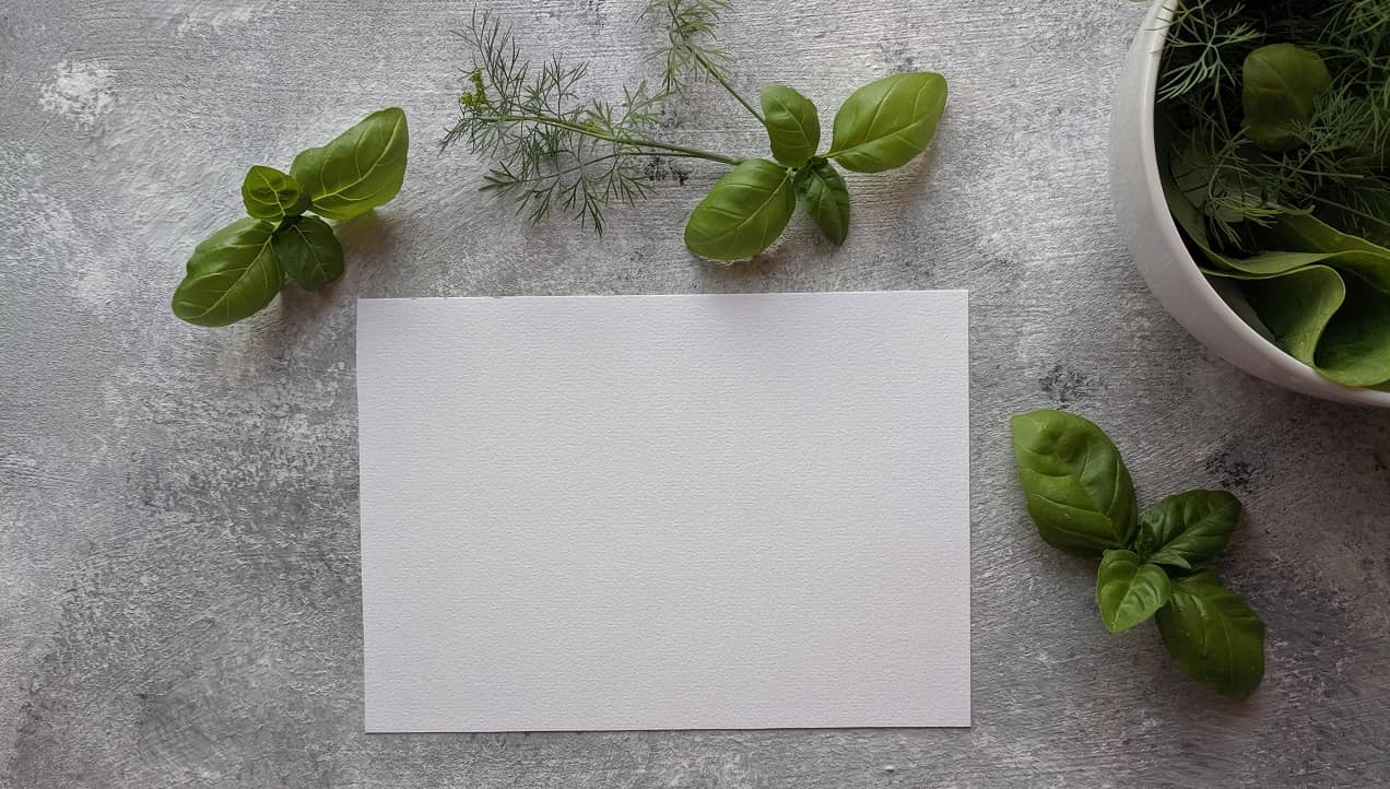 Best Paper Stocks In India 2023 5paisa